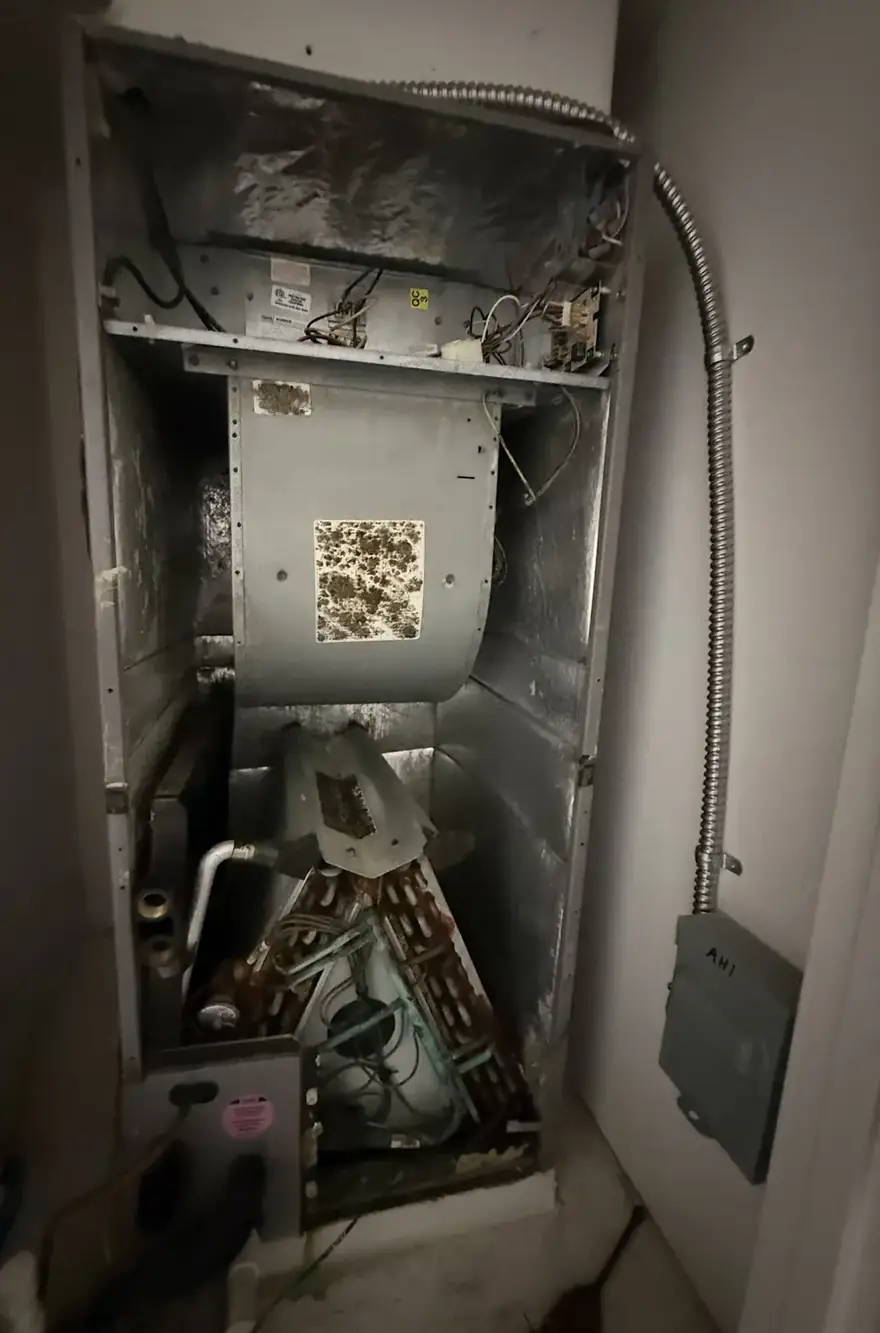 Old air handler with mold on the blower and corroded coil before replacement